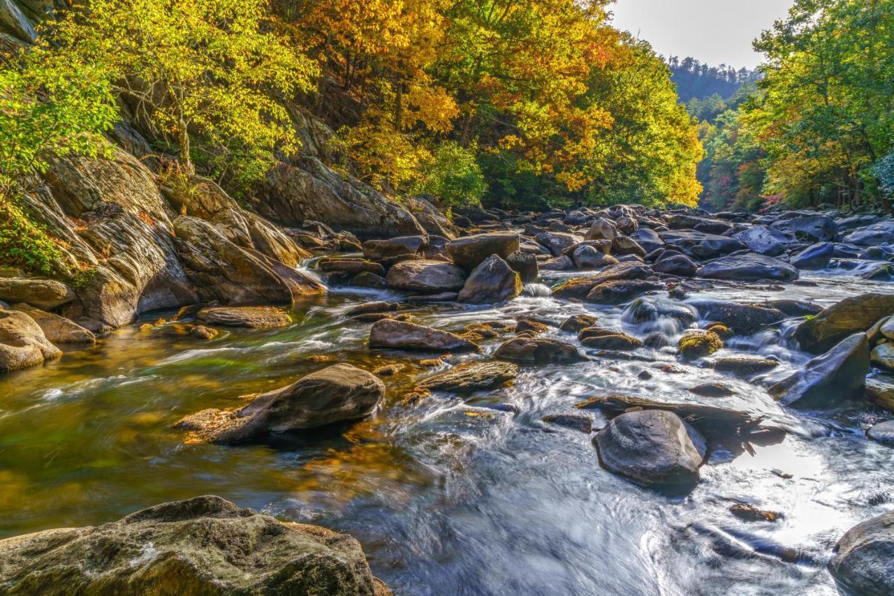 Celebration Lodge Gatlinburg Εξωτερικό φωτογραφία